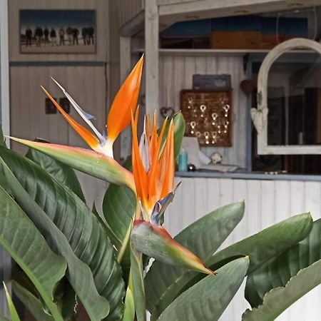 B&B Fischerstueble - Adults Only Hagnau Esterno foto